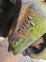 Ziemlich gebrauchte Deutz-Fahr DX4.57 VORDERACHSNABE LHS KOMPLETT 04358295, 04354203, 04386748 – Bild 3