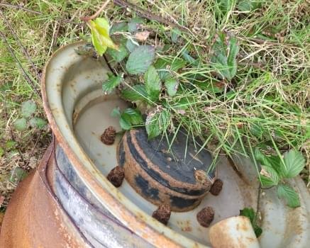 Massey Ferguson verreiker ACHTERAS COMPLEET 26.16M + TB172, 141154 26.16M + TB172, 141154 – Bild 7